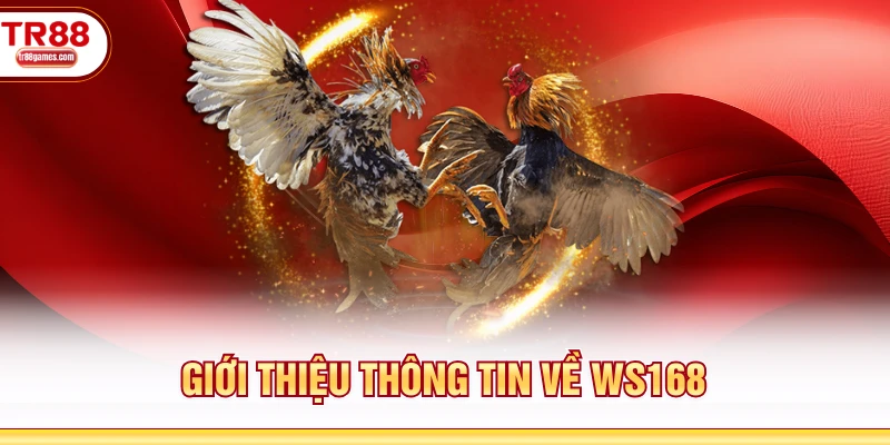 Giới thiệu thông tin về WS168