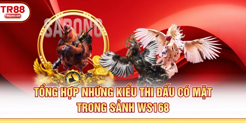 Tổng hợp những kiểu thi đấu có mặt trong sảnh WS168